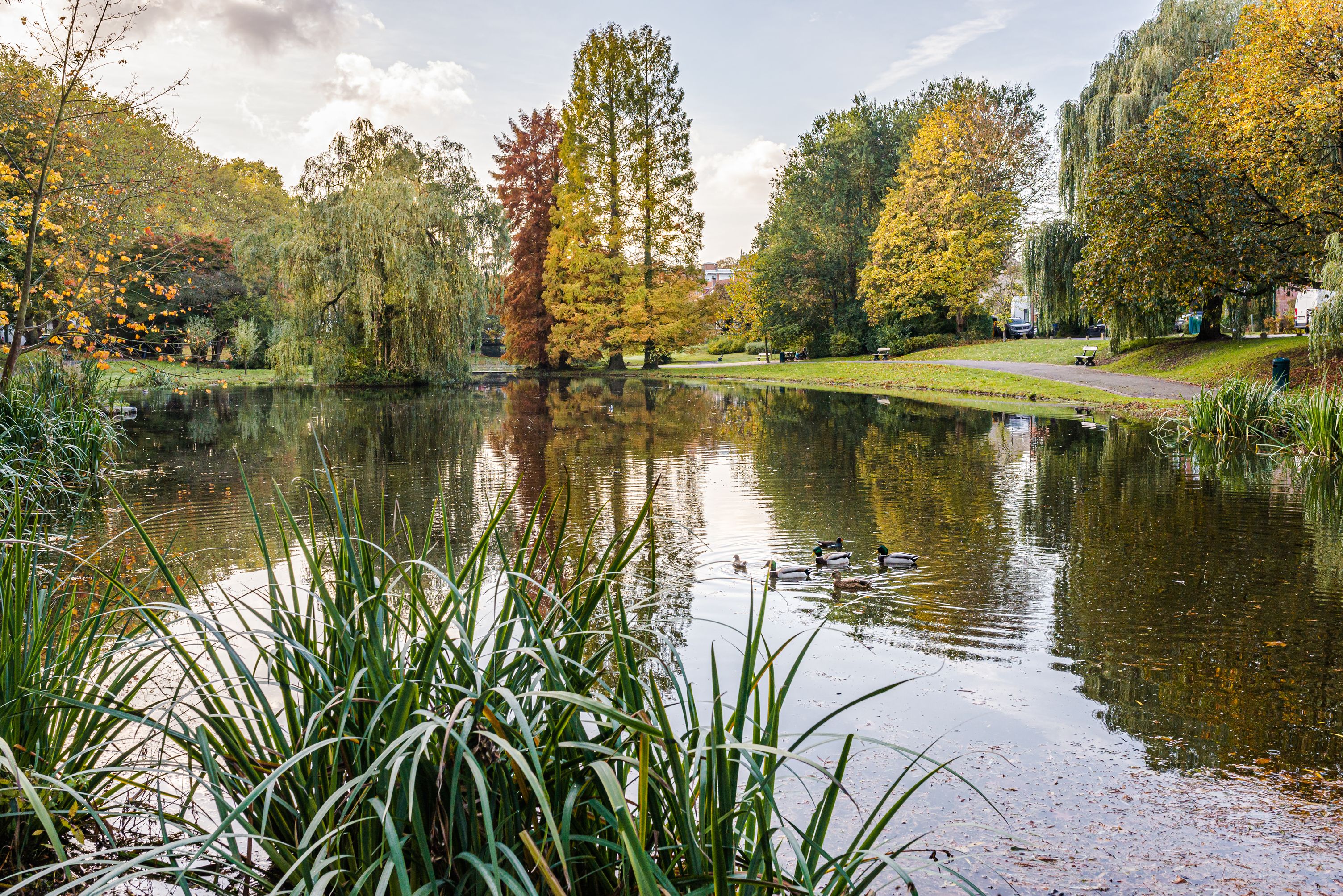 © visit.brussels - Jean-Paul Remy