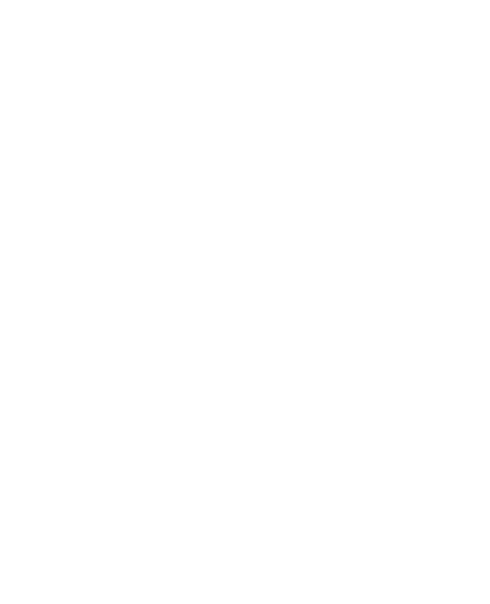 Logo Brussels Video Crew BVC White version