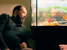 les_tortues_david_lambert_03_photo_cedric_bourgeois